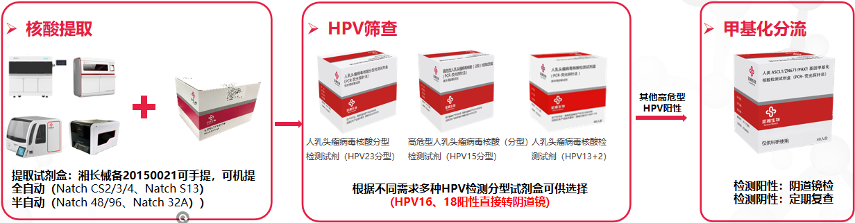 新得利(中国游)集团有限公司官网